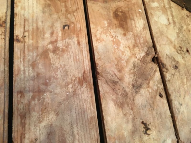 Полы из фанеры на деревянный пол