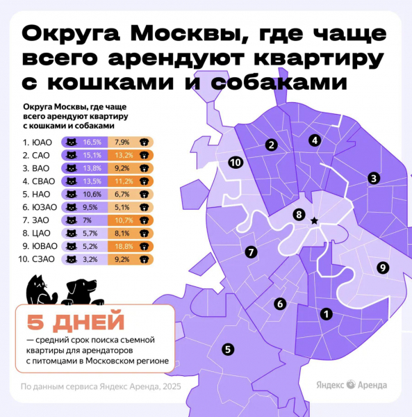 Названы округа Москвы, где чаще снимали квартиры с кошками и собаками