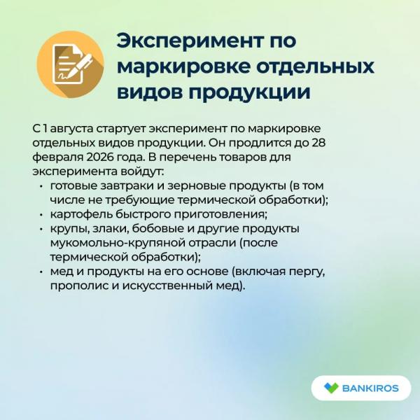 Новые законы с 1 августа 2025: как изменения ждут россиян