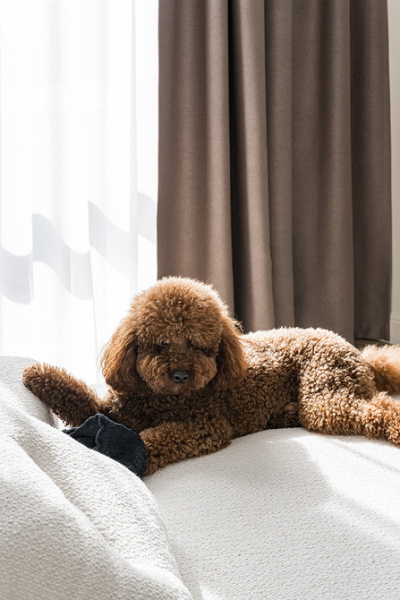 Квартира молодоженов: уютный и элегантный интерьер 61 кв. м в стиле французской классики