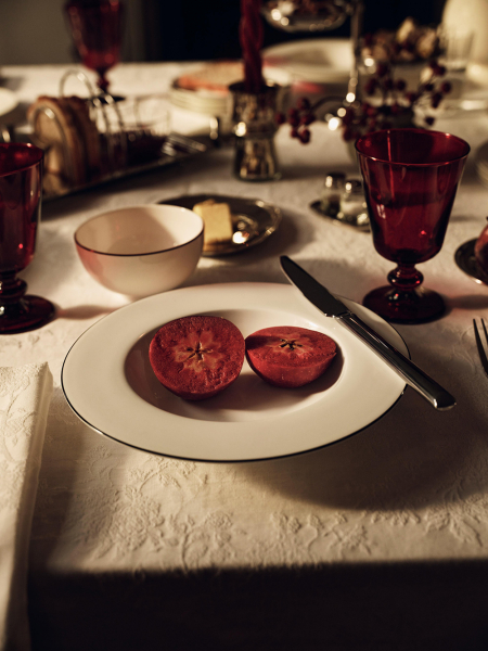 Очарование уютного рождества от Zara Home
